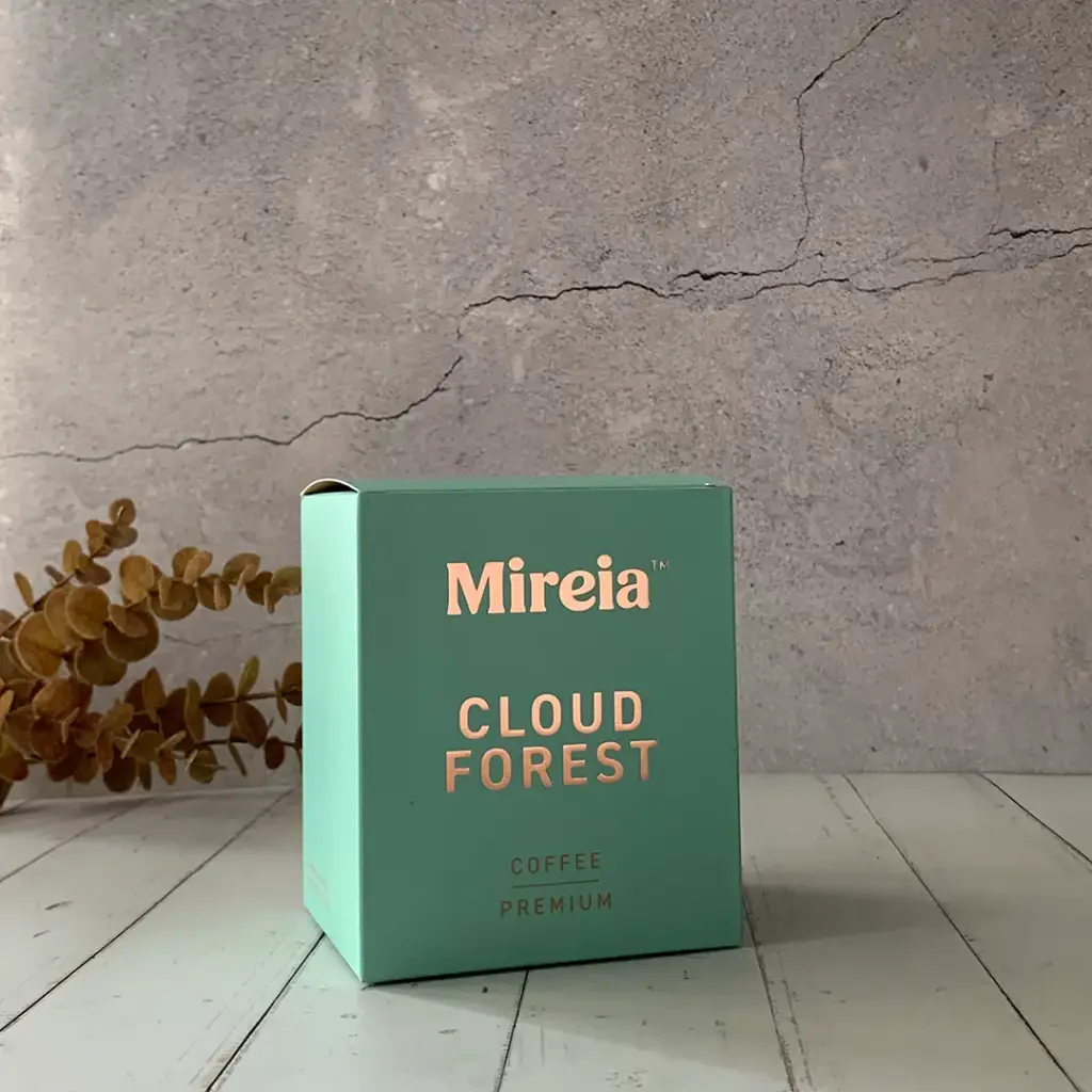 Cloud Forest ~ Coffee Drip